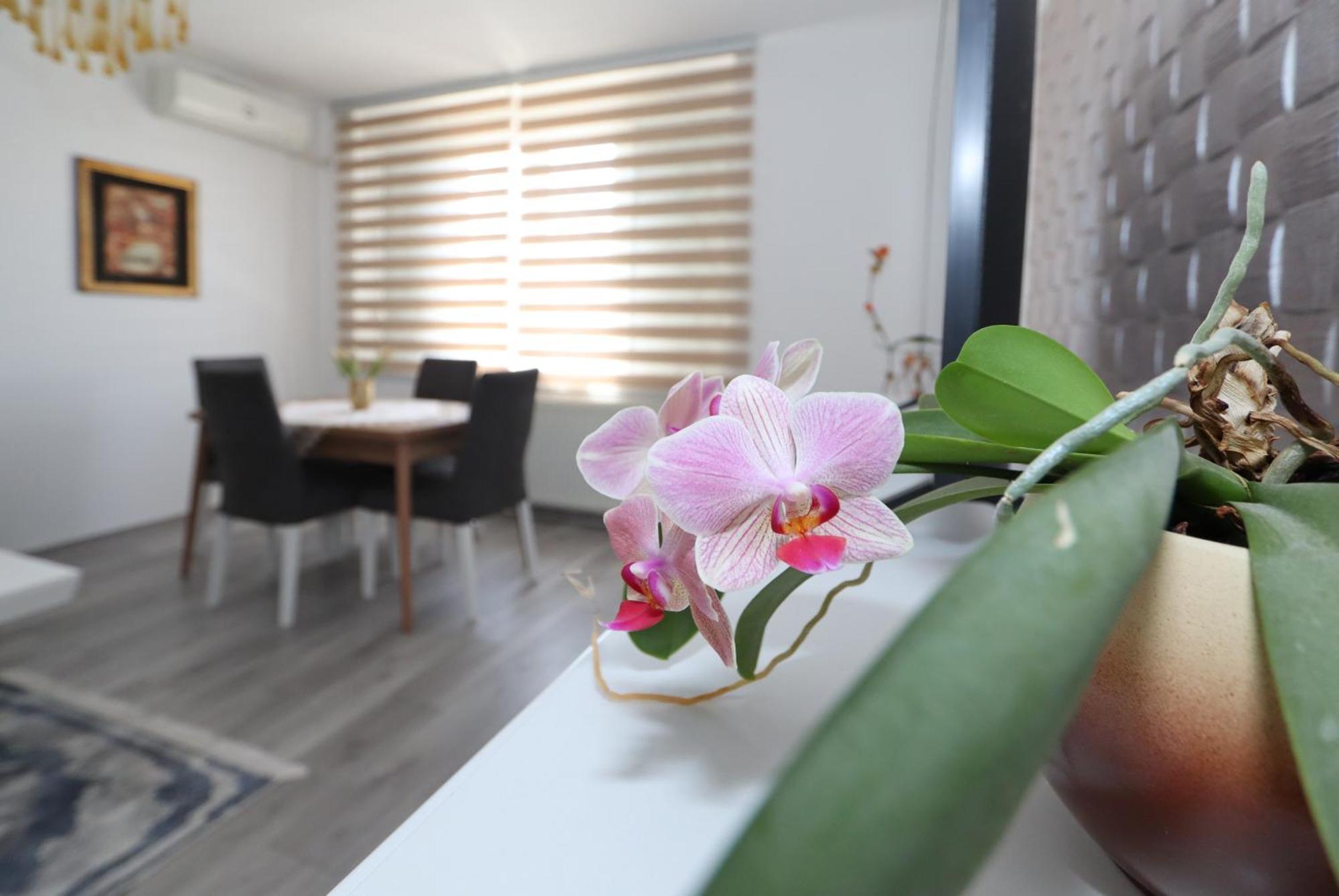 Golden Royal Apartman Kragujevac Kültér fotó